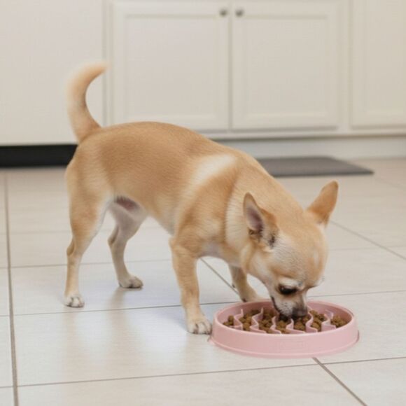 Outward Hound Slo Bowl SMALL Pink Puppy Slow Feeder Anti Bloat Dog Chihuahua - Picture 3 of 8